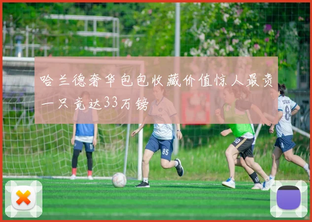 哈兰德奢华包包收藏价值惊人最贵一只竟达33万镑