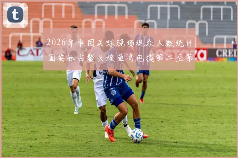 2026年中国足球现场观众人数统计国安独占鳌头梭鱼湾包揽第二至第七位